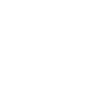 cebra-logo-white