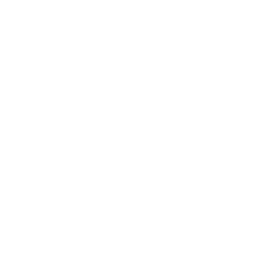 dansk-revision-logo-white