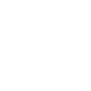 dynamicweb-logo-white