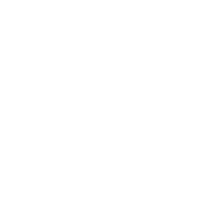 formue-pleje-logo-white