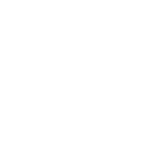 sparekassen-danmark-logo-white