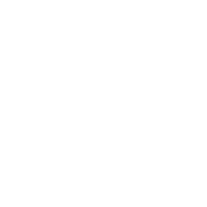 stark-logo-white
